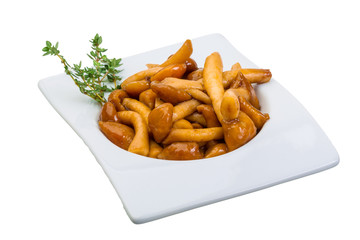 Armillaria