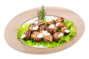 Escargot