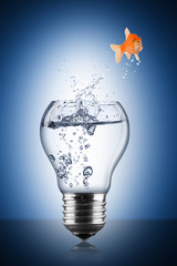 fish energy change concept