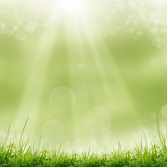 Obraz premium green leaves and sun on blue sky