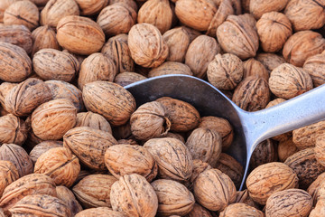 Walnuts in a basket and a shovel