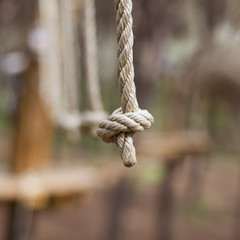 Rope with knot
