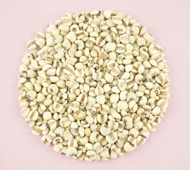 job's tears as circle