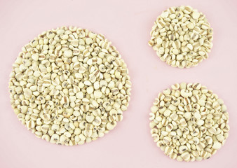 job's tears as set of circle