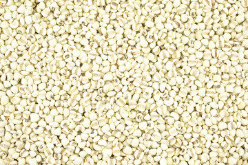 job's tears background texture