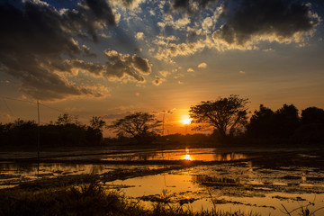 Sunset landscape on water field