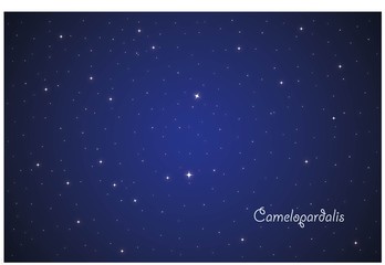 Fototapeta premium Constellation Camelopardalis