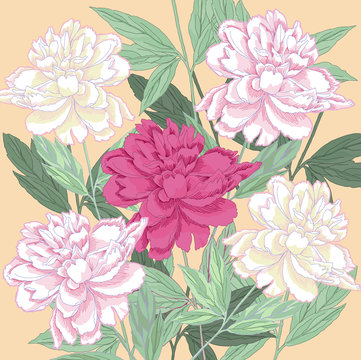 Background with  white and one pink peonies.Vector illustration