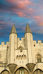 Pope palace in Avignon , France. Architectural detail of the tow