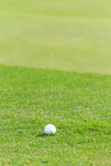 Golf ball on green grass