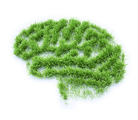 Brain shaped grass patch
