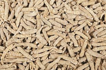 Chinese Ginsengs, One of the Well Known Tonics Herbal