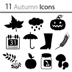 Set of autumn icons (vector)