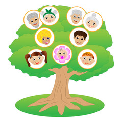 images of family on genealogical tree