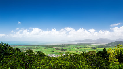 Obraz premium Meadow Australia