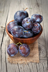 Fresh harvest of plums