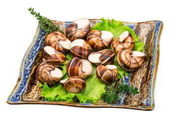 Escargot