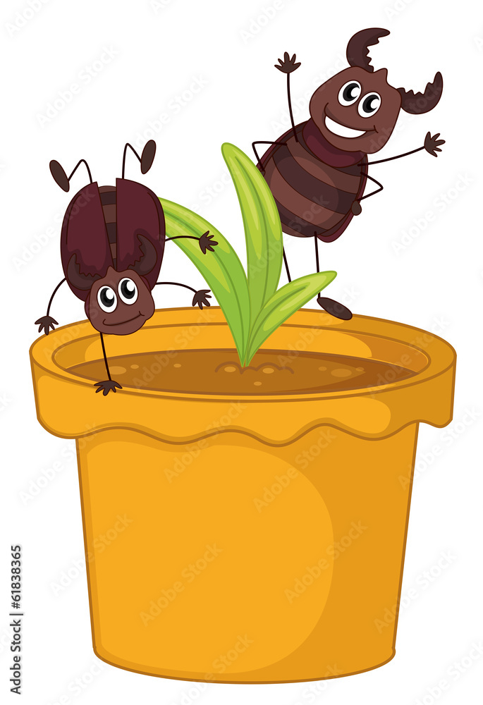 Poster a plant in a pot with two smiling cockroaches