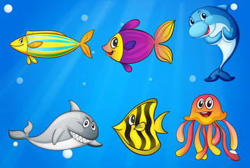 Six colorful smiling fishes under the sea