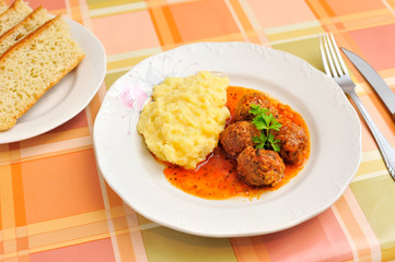 Meatballs in tomato sauce and puree