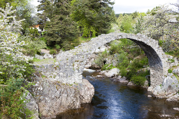Old Packhorse bridge, Carrbridge, Highlands, Scotland