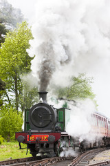 Obraz na płótnie Canvas steam train, Strathspey Railway, Highlands, Scotland