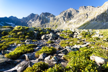 Mengusovska Valley, Vysoke Tatry (High Tatras), Slovakia