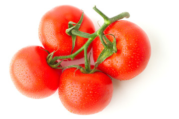 Tomatos