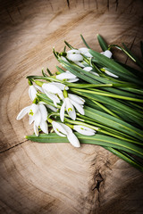 snowdrop flowers on a table