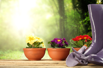 garden