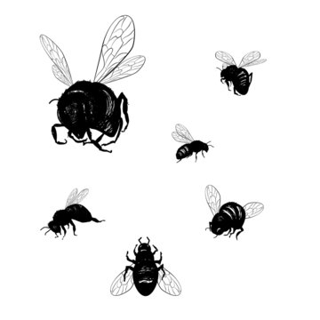 Vector collection of various positioned doodle bees