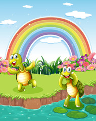 Obraz na płótnie Canvas Two playful turtles at the pond with a rainbow in the sky
