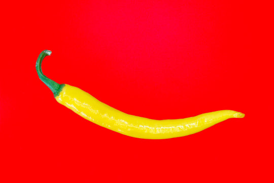 Single yellow spanish pepper