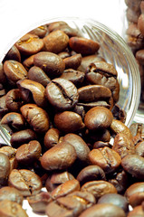 Premium grade coffee beans.