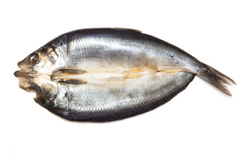 Kipper isolated on a white studio background.