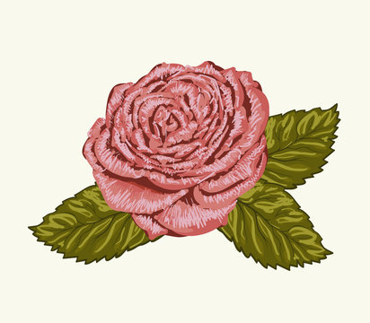 Beautiful rose bud with leaves painted in watercolor style