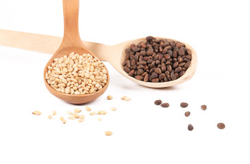 Two spoons with pine nuts.