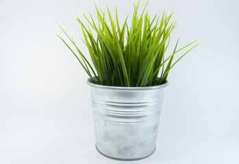 Grass in Steel Pot