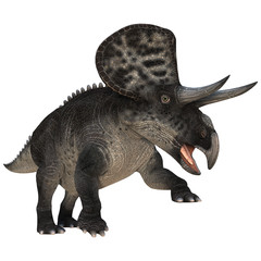 Dinosaur Zuniceratops