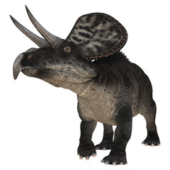 Obraz premium Dinosaur Zuniceratops