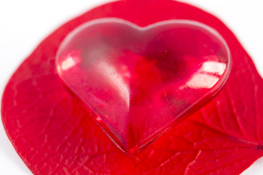 reds heart on red foliole