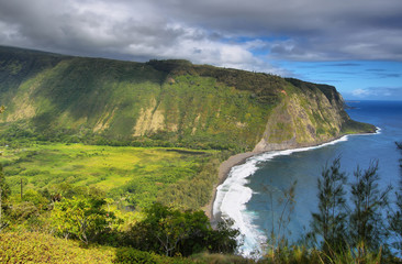 Fototapeta na wymiar Waipio Valley view in Big island, Hawaii