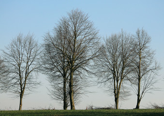 Obraz premium воздух