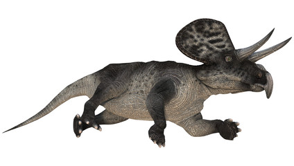 Dinosaur Zuniceratops