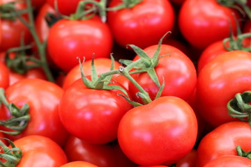 Tomatenrispe auf Wochenmarkt auf Haufen Tomate
