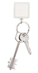 pair keys and square keychain on ring