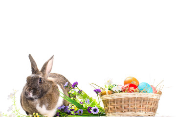 Easter bunny sitting near basket