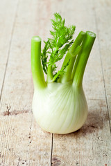 fresh organic fennel