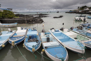 Fototapeta na wymiar krajobraz z Galapagos
