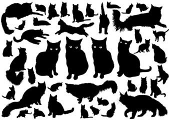 Cat silhouettes